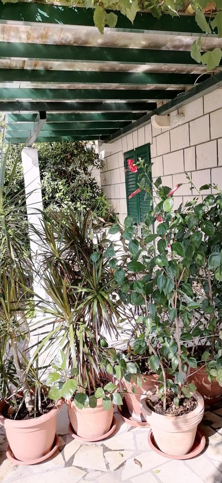 Apartments Fani Kanun Bol Exterior photo